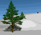 Animations - 043